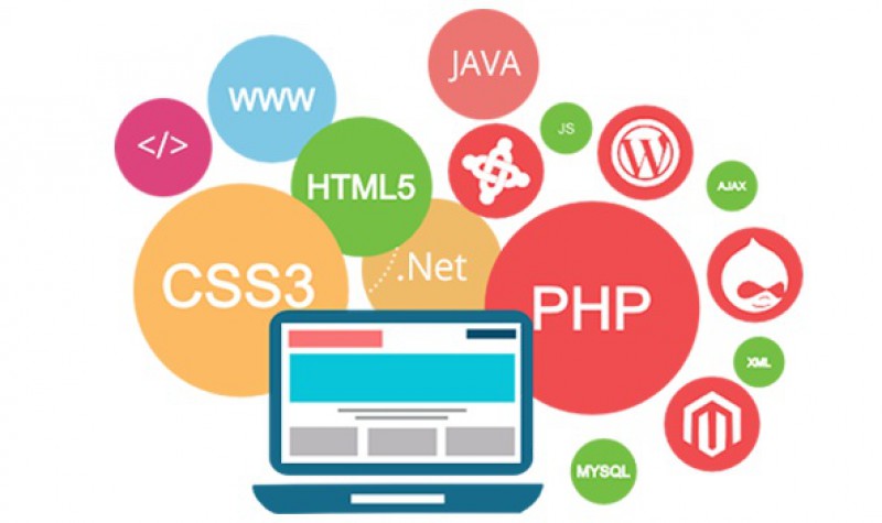 Pacific Soft Solution